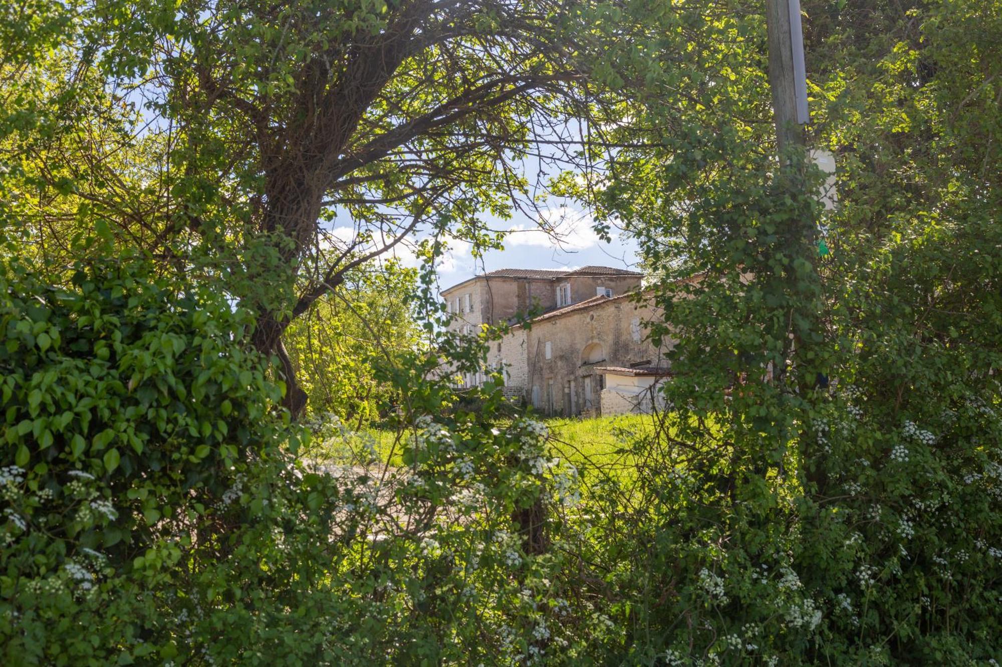 Chateau Haut Gouat Bed & Breakfast Vertheuil-en-Medoc ภายนอก รูปภาพ